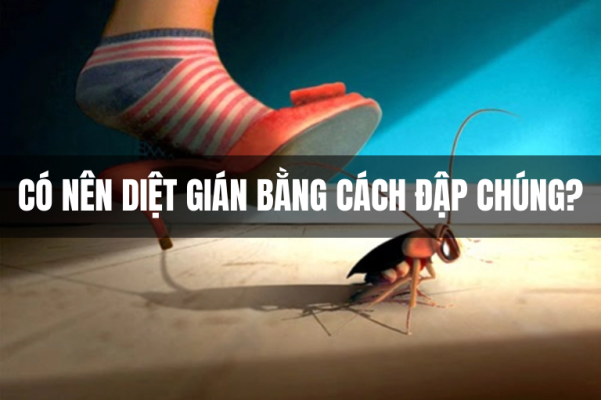 Có nên diệt gián bằng cách đập chúng?